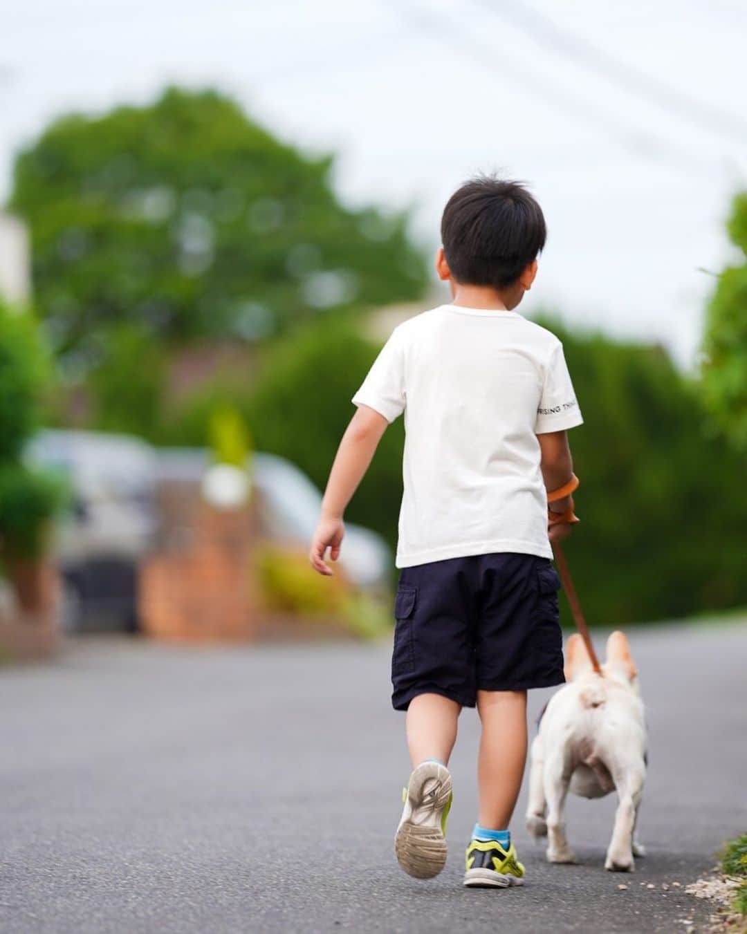 GEN3 Owlのインスタグラム：「二人の息子たち。強く優しく育ってほしい。My sons.  I want you to grow up to be a strong and gentle man. #dog #frenchbulldog #geregere #family #photography」