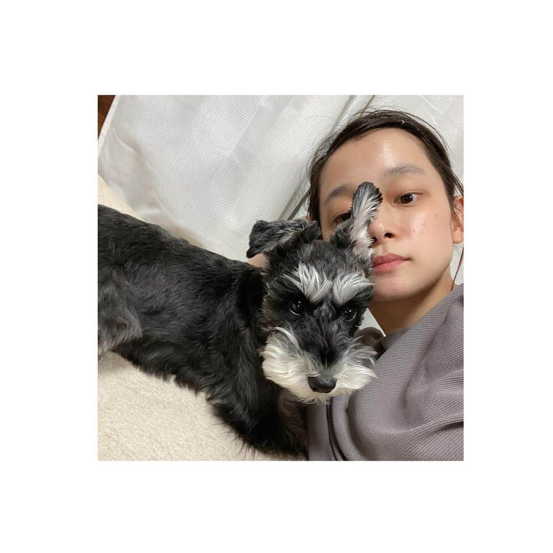 荒井愛花さんのインスタグラム写真 - (荒井愛花Instagram)「うちの子は嬉しいと耳が立ちます🐕 嬉しすぎる時は両耳が…笑  私は動物が本当に大好きで、大きいことを言ってしまいますが世界中の動物がひとりでも幸せになってほしいと思っています。 将来動物と関わるお仕事をするのが、ひとつの夢です☺️」6月5日 22時58分 - maaanyaka