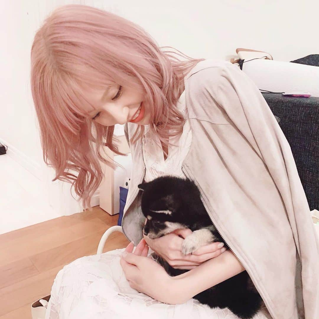 みはとさんのインスタグラム写真 - (みはとInstagram)「豆柴ちゃん🐾かわいかった❤️ ・ ・ ・ #小さすぎて #可愛すぎて #絶句 #わんちゃんも好き #癒される #いつか飼うなら #豆柴」6月5日 23時16分 - m2.13.0