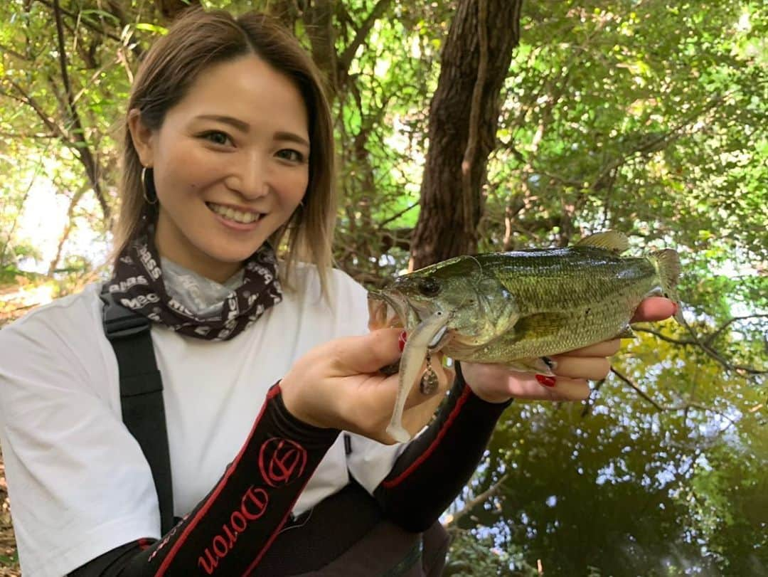 疋田星奈さんのインスタグラム写真 - (疋田星奈Instagram)「カワイイサイズだけど嬉しいー♡ いつもより水悪くて(田植えの影響かな)食いも悪かったけど ギル当たりでも懐かしく愛おしく思える久しぶりの釣行でした❤笑 釣ったリグは勿論#ハゼディ (ブレディ＋ハゼドンシャッド3インチ) この2つのアイテムが店頭に無さすぎて買えてない方が多いかもですが通販だったら意外とあったりもするのでネットで検索してみてね♡ . . @megabass_inc  @zappu_official  #釣り #バス釣り #野池 #ブラックバス #疋田星奈 #megabass #zappu」6月6日 11時06分 - seina.91