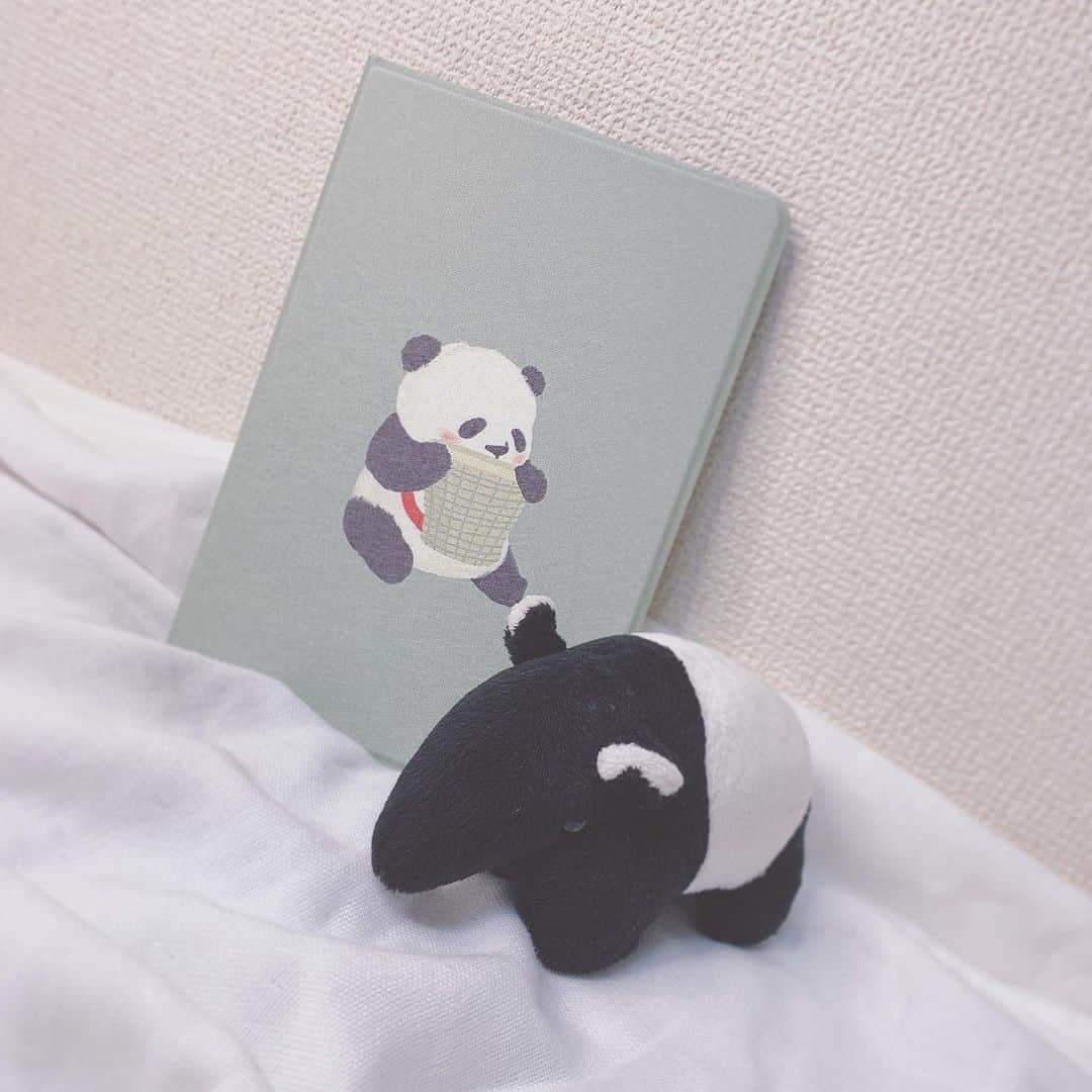 竹本くるみさんのインスタグラム写真 竹本くるみinstagram Ipadケース届いた バクくんも一緒に Ipad Ipadケース パンダ バク ぬいぐるみ 抹茶色 Kawaii 6月6日 11時28分 Kru Popo