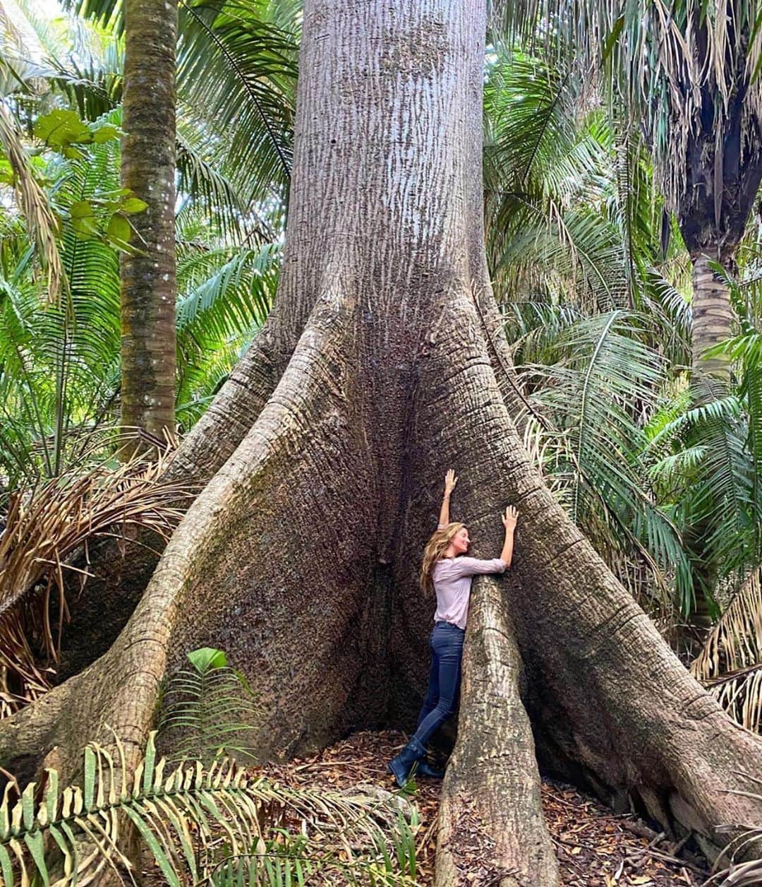 ドウツェン・クロースのインスタグラム：「❤️ @gisele #repost  Today is World Environmental Day, and I couldn’t let it pass. The reason we are all here is because of Mother Nature, who supports all of life. She is our greatest teacher, and is always showing us the way, if only we would listen. She shows us that everything is interconnected and interdependent. When you think about it, her power come from her diversity and it depends on it to survive.Just like with people, our differences are our strengths, and we get stronger when we work together.  Nature doesn’t judge or divide. She nurtures. She reminds us that every form of life is sacred, and important, and has its own special role in creating balance, so all of life can flourish.  What creates unbalance in our world? Division. When man tries to divide nature, she is harmed and weakened and can even die. This is also true of humanity.  Nature has the answers- and by observing her, and mirroring back her example, we can start creating a more loving, supportive world where we can all thrive. This is our home, and our choices will help to create our future.  #Forhumanity #ForNature 🌎」