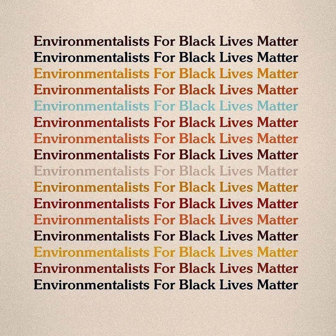 フィービー・ダールのインスタグラム：「Repost from @greengirlleah. Go comment and amplify her page so her message is heard ✊🏽💚 ・・・ Social justice cannot wait. It is not an optional “add-on” to environmentalism. It is unfair to opt in and out of caring about racial injustices when many of us cannot. These injustices are happening to our parents, our children, our family and our friends. I’m calling on the environmentalist community to stand in solidarity with the black lives matter movement and with Black, Indigenous + POC communities impacted daily by both social and environmental injustice.  Please swipe to learn more about intersectional environmentalism and take the pledge.  Here is a list of some of my favorite accounts I follow that raise awareness for intersectional environmentalism, please tag more in the comments!: @mikaelaloach @toritsui_ @jamie_s_margolin @queerbrownvegan @diandramarizet @wildginaa @aditimayer @naturechola @nativein_la @amaze_me_grace @she_colorsnature @switchbackshawty @bleavitt8 @badgal_brooky @teresabaker11 @ImKevinJPatel @Xiyebeara @lainetew @sophiakianni @xiuhtezcatl」