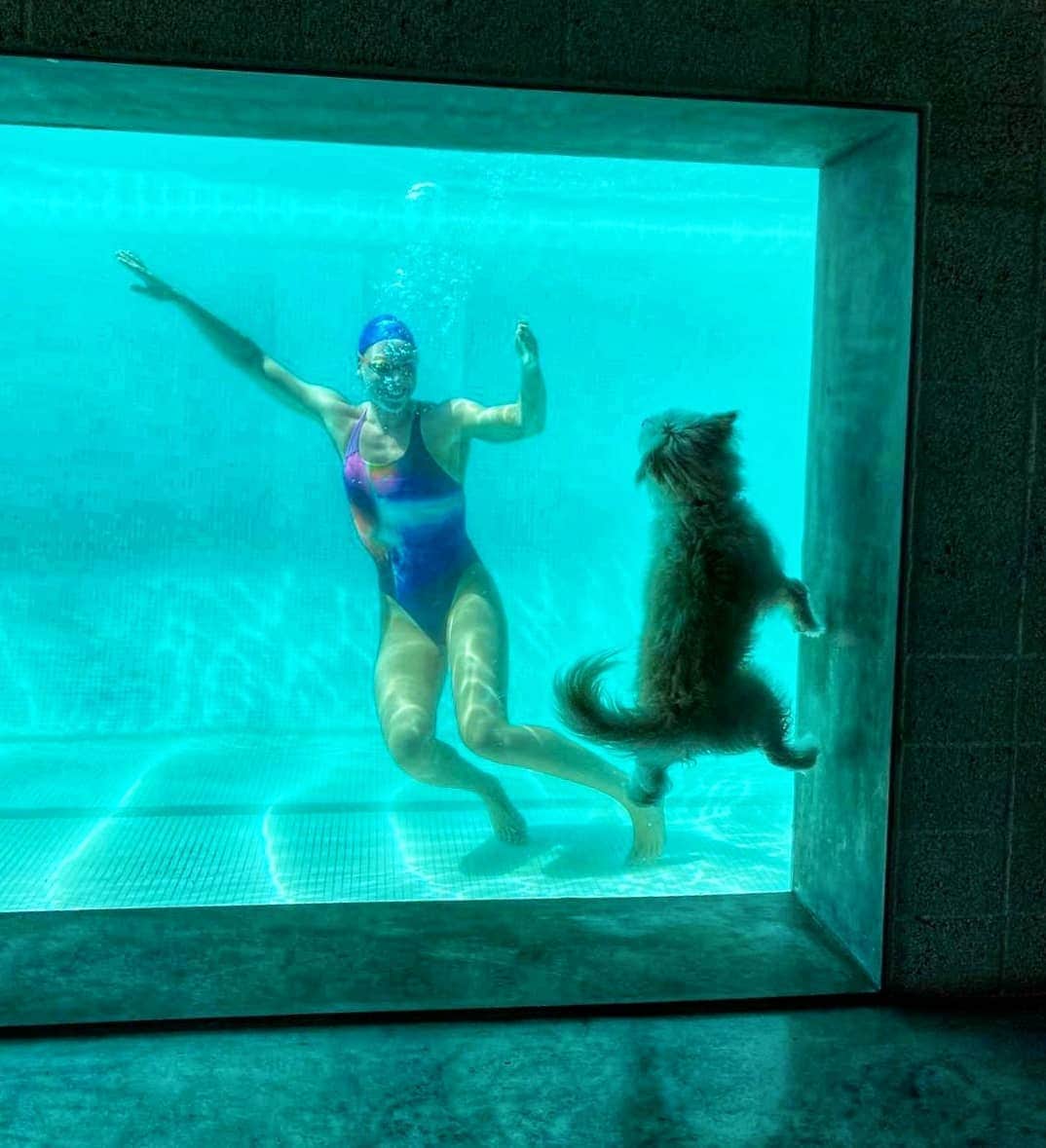フェムケ・ヘームスケルクさんのインスタグラム写真 - (フェムケ・ヘームスケルクInstagram)「Meet Monty my little furry cheerleader friend! 😍❤️ He runs up and down every lap i swim, but his favorite part is when i do underwater dolphin kicks. 🐬😂🐶❤️ . . . #BestPoolEver #FurryFriend #California 📸 : @bob_greenbaum」6月6日 3時25分 - femheemskerk