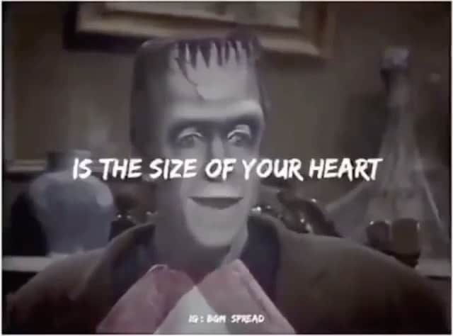 のインスタグラム：「Herman gets it 🥰👌🏼 Reposted from @therealelvira」
