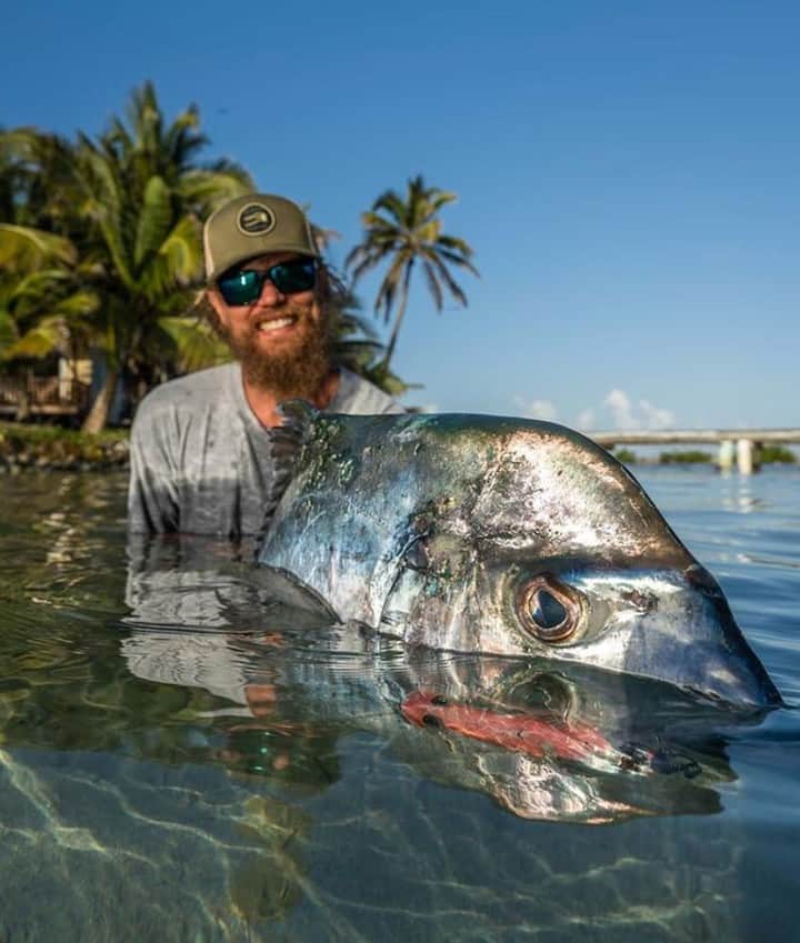 Costa Sunglassesのインスタグラム：「Reef's end release. 📷: @matildaleijon @hannesribbner #SeeWhatsOutThere」
