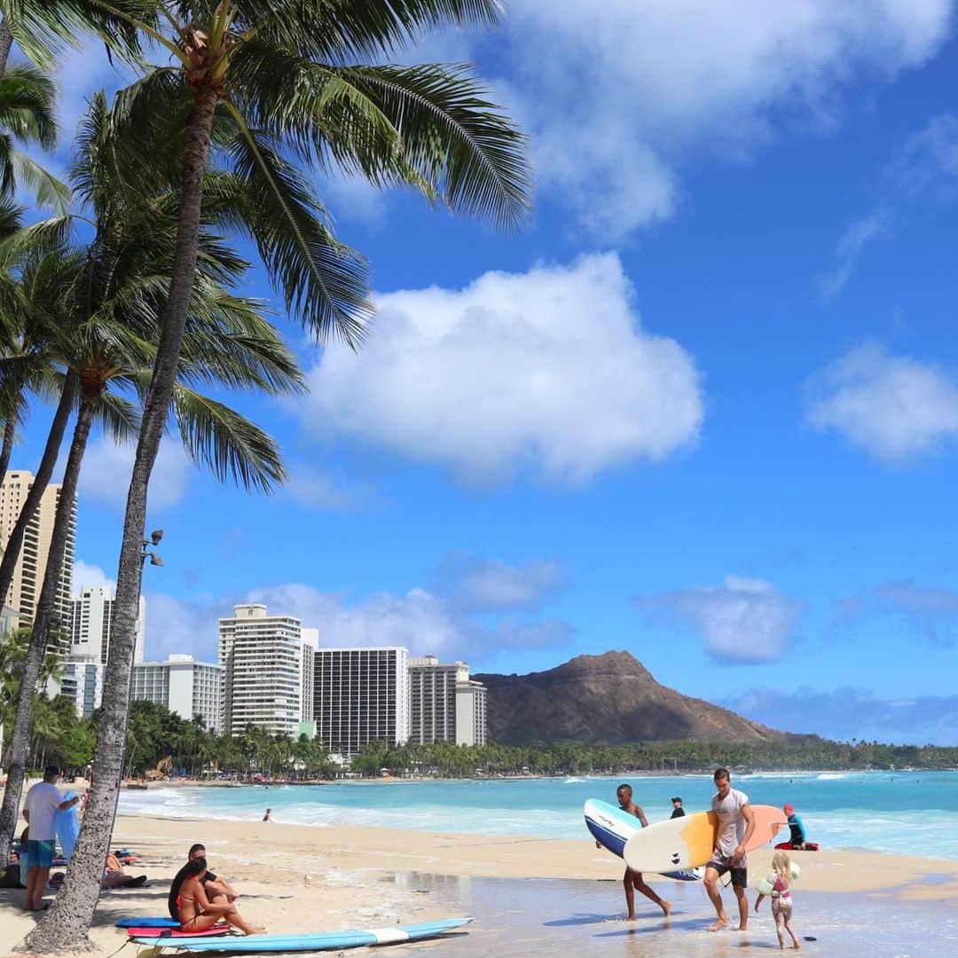 Belle Vie Hawaiiさんのインスタグラム写真 - (Belle Vie HawaiiInstagram)「久しぶりにワイキキビーチに撮影に行ってみたら、﻿ 人が少なくなっていた間に﻿ 海も砂浜も透明感のあるキレイな色になっていて絵のようでした❣️﻿ ﻿ 皆様、ハッピーな週末をお過ごし下さい🤙﻿ ﻿ ﻿ ﻿ #belleviehawaii #hawaii﻿ #waikiki #waikikibeach﻿ #aloha #honolulu﻿ #alohafriday #surfers﻿ #oahuhawaii #oahulife﻿ #hawaiilife #honoluluhawaii﻿ #ハワイ #ベルヴィー﻿ #ハワイ好き #頑張れ日本﻿ #ハワイ大好き #アロハ﻿ #ハワイ行きたい #ワイキキビーチ﻿ #頑張れハワイ #妄想ハワイ﻿ #ワイキキ #サーファー﻿ #ホノルル #ハワイ生活﻿ #ハワイ好きな人と繋がりたい﻿ #まつ毛美容液 #リバイタラッシュ」6月6日 7時15分 - belleviehawaii
