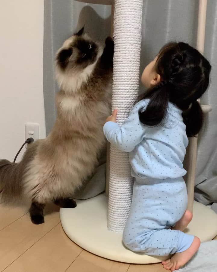plumeのインスタグラム