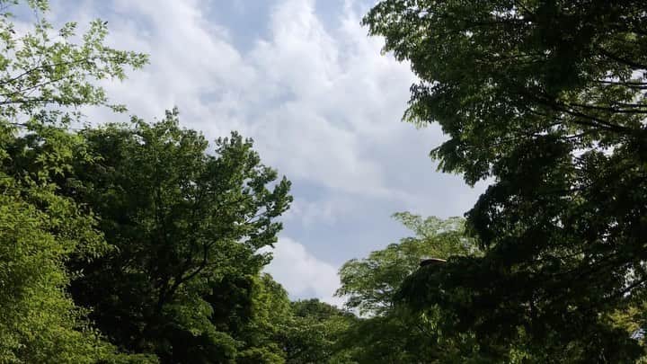 遠海まりこのインスタグラム