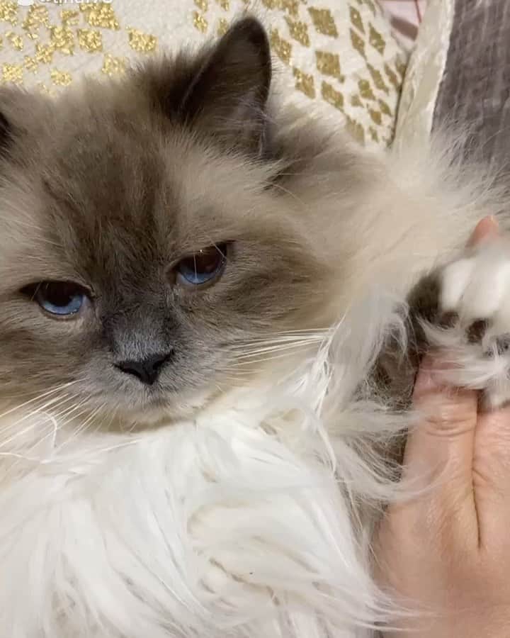 Tinaのインスタグラム：「You up? 🤪😂🤣」