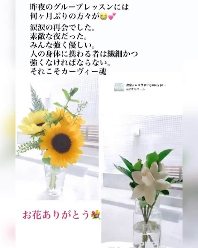 樫木裕実のインスタグラム