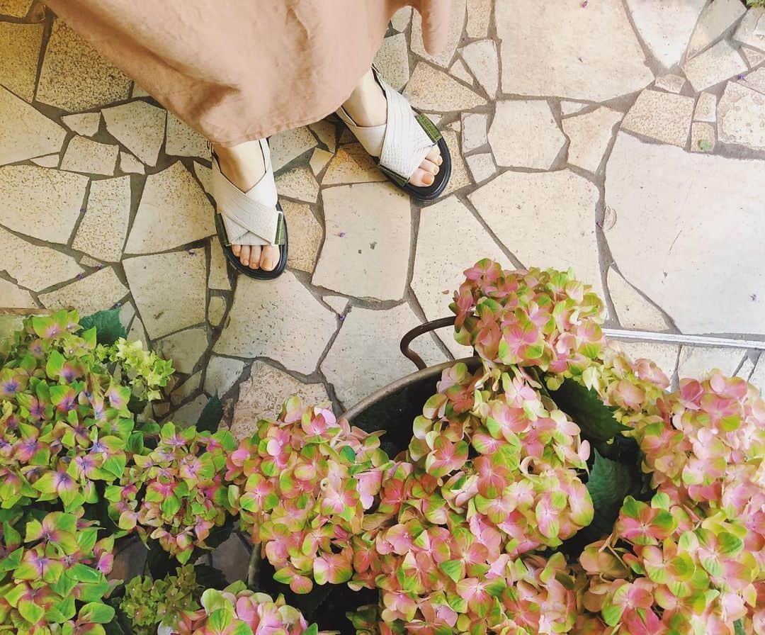 和田美由紀のインスタグラム