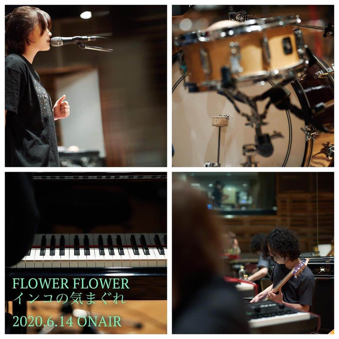 FLOWER FLOWERのインスタグラム