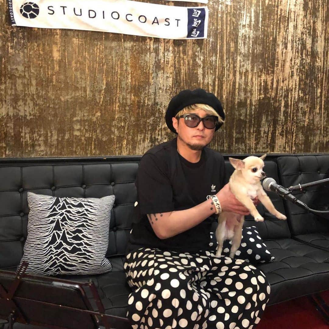 橋本塁さんのインスタグラム写真 - (橋本塁Instagram)「【コメント寄稿】 SOUND SHOOTER VOL.3の時から東京でライブイベントを する時はいつもお世話になってたSTUDIO COAST。 10周年の時は3DAYSで開催して大変感動した思い出があります。 ライブカメラマンとしても数え切れないほどのライブをコーストでは 撮ってきました。 15周年の今年も3月15日に開催予定でしたがやむなく中止。 大好きなスタジオコーストは個人的にもなんとしてでも このコロナ危機を乗り越えていただきたく コメントさせていただきます。またあの素晴らしい会場で撮影、そしてイベントが 開催できるのを心の底から願ってます！ - 橋本塁 [SOUND SHOOTER] -  スタジオコーストがクラウドファンディングをスタートしました！サウシューまたやりたいので是非皆様ご協力をば！　#サウシュー　#studiocoast #スタジオコースト  https://camp-fire.jp/projects/view/284636」6月6日 19時58分 - ruihashimoto