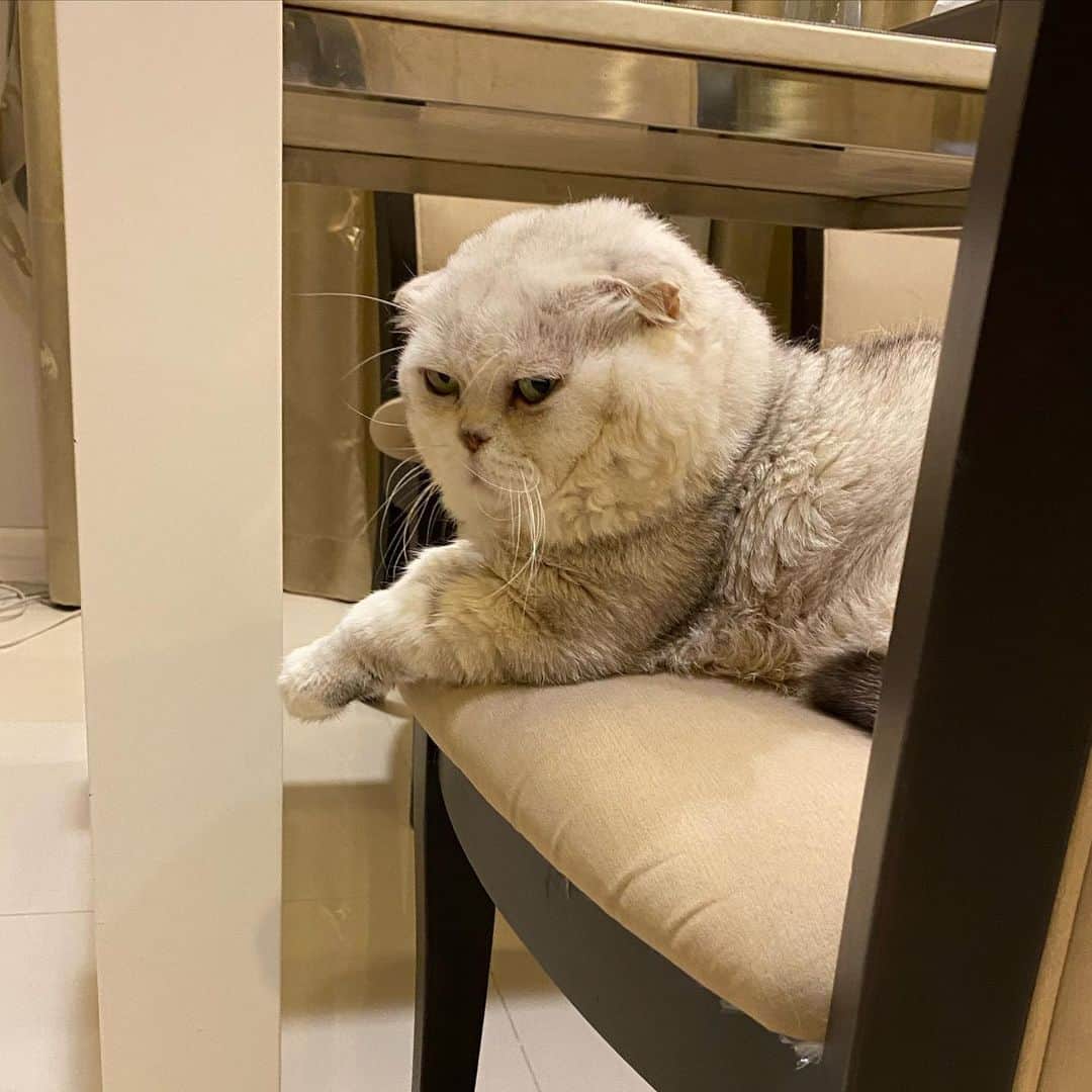 Haruのインスタグラム：「ขาใหญ่ประจำซอย 😎 #กลัวรึยังหล่ะ #ตบฟั้มนะ」
