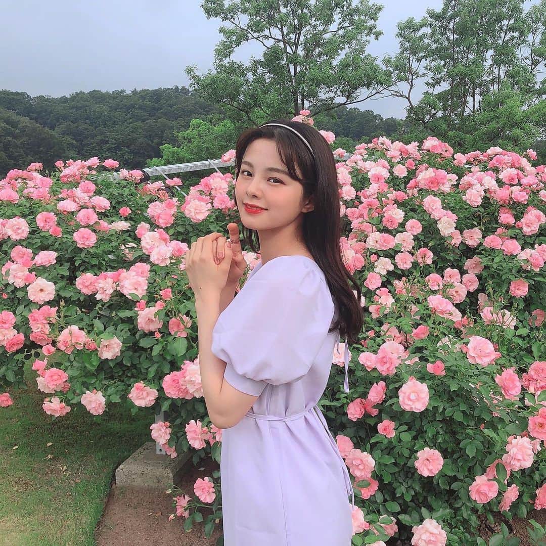 本間日陽さんのインスタグラム写真 - (本間日陽Instagram)「* 今日はあさ1番で薔薇園に… 薔薇は朝が1番強く香るんですって🕯 . . ラベンダーのパフスリーブワンピース 薔薇園映え🌹♡ ウエストリボンでスタイルアップされて かわいい韓国のオリジナルワンピース🤍！ 夏のワンピースの季節になってきて とても嬉しいですたくさん着よう💐 . . . . #321_code #elledemuguet #デイリールック　#韓国ファッション #夏ワンピース #薔薇園」6月6日 21時07分 - hinata_homma1110