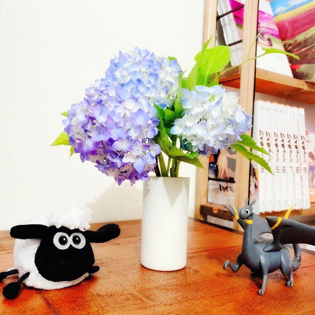 名塚佳織さんのインスタグラム写真 - (名塚佳織Instagram)「✿ 新しい花瓶を手に入れたので…♡ #あじさい #紫陽花  かわいい…(∩˶ˊ ᆺ ˋ˵∩)♡ #かわいい」6月6日 21時07分 - nazuka_kaori424