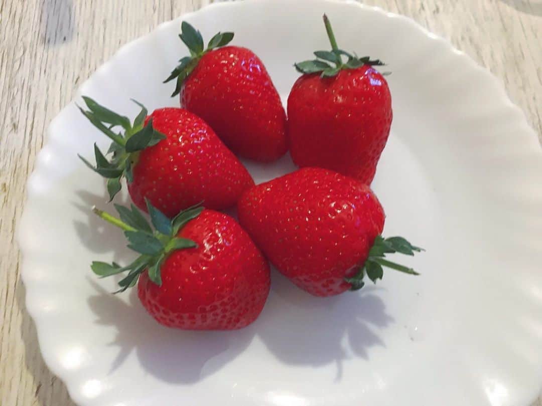 Yu-kiのインスタグラム：「Seasonal British strawberry which is perfectly sweet🍓💛 でも福岡のイチゴも恋しい🥺💭」