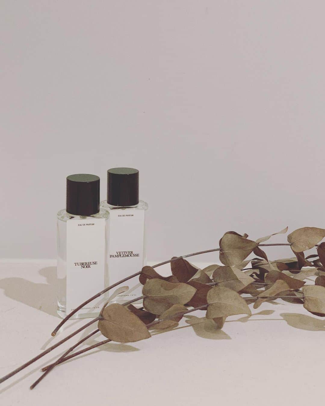 絵美里さんのインスタグラム写真 - (絵美里Instagram)「New Fragrance🕊🍃 . . . ZARAとJo Maloneのコラボによるフレグランスがとっても良い香り🌿軽いつけ心地なので、2種類の香りを混ぜて使うのもいい。  私は Vetiver Pamplemousse(グレープフルーツ/マンダリン/ベチバー)と、Tubereuse Noir(イランイラン/チューベローズ/サンダルウッド)をミックスさせて愛用中🤍  ルームスプレーとしても香りが強くないのでおすすめ🍃🍃 . . . . . @zara  @jolovesofficial  #zaraemotions」6月6日 12時37分 - emiri616
