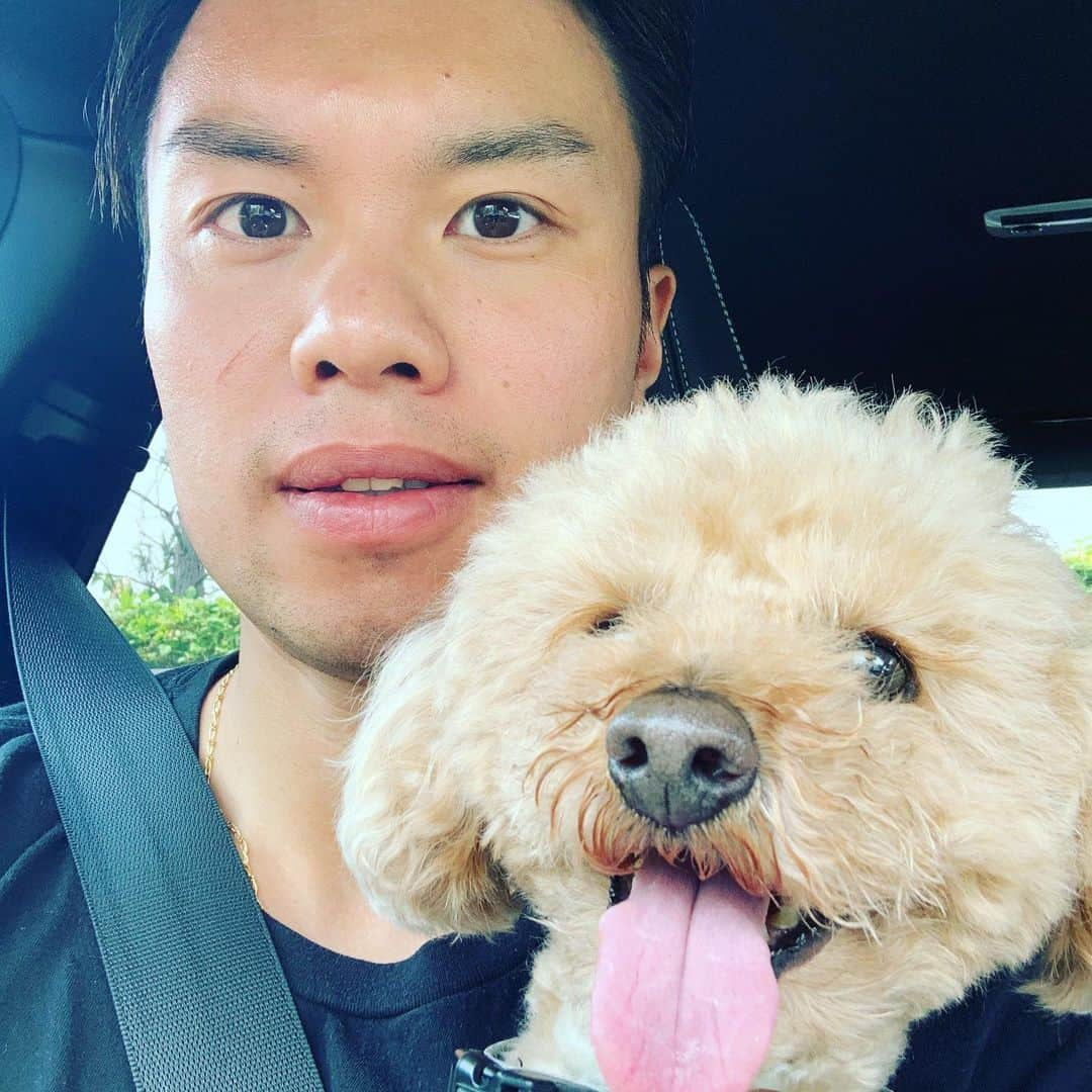 山口剛史さんのインスタグラム写真 - (山口剛史Instagram)「僕とローリー🥌🐶 #少し暑くなってきました #ローリーも元気です #只今待機中 #セミも鳴いてます #夏が来るね」6月6日 12時49分 - yama37curl