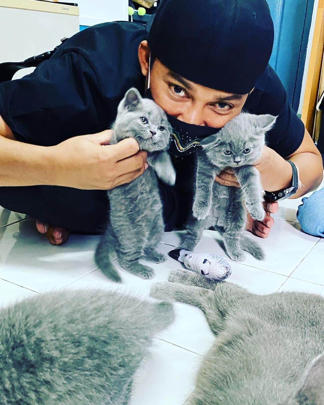 トニー・ジャーのインスタグラム：「ทาสแมว!!!!」