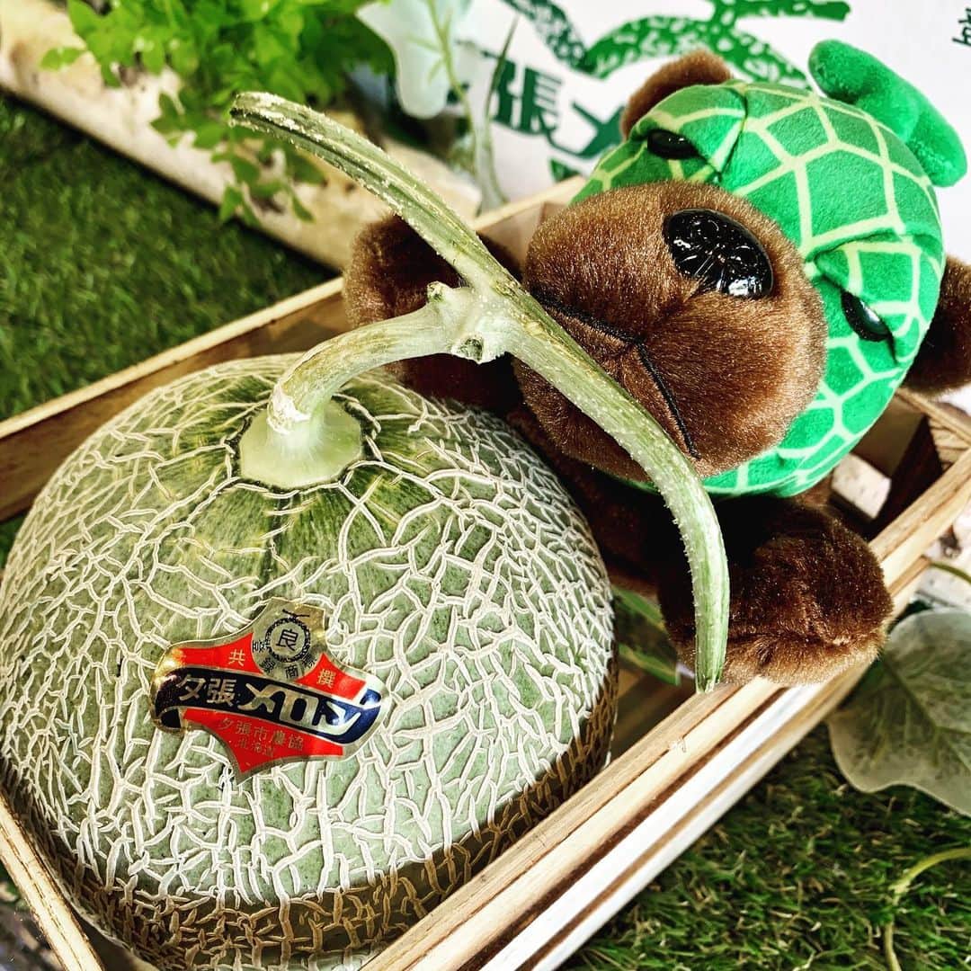 メロン熊【公式】さんのインスタグラム写真 - (メロン熊【公式】Instagram)「メロン熊の主食  #夕張メロン #入荷 #販売します #夕張 #販売 #メロン #北海道」6月6日 14時22分 - yubarimelonkuma