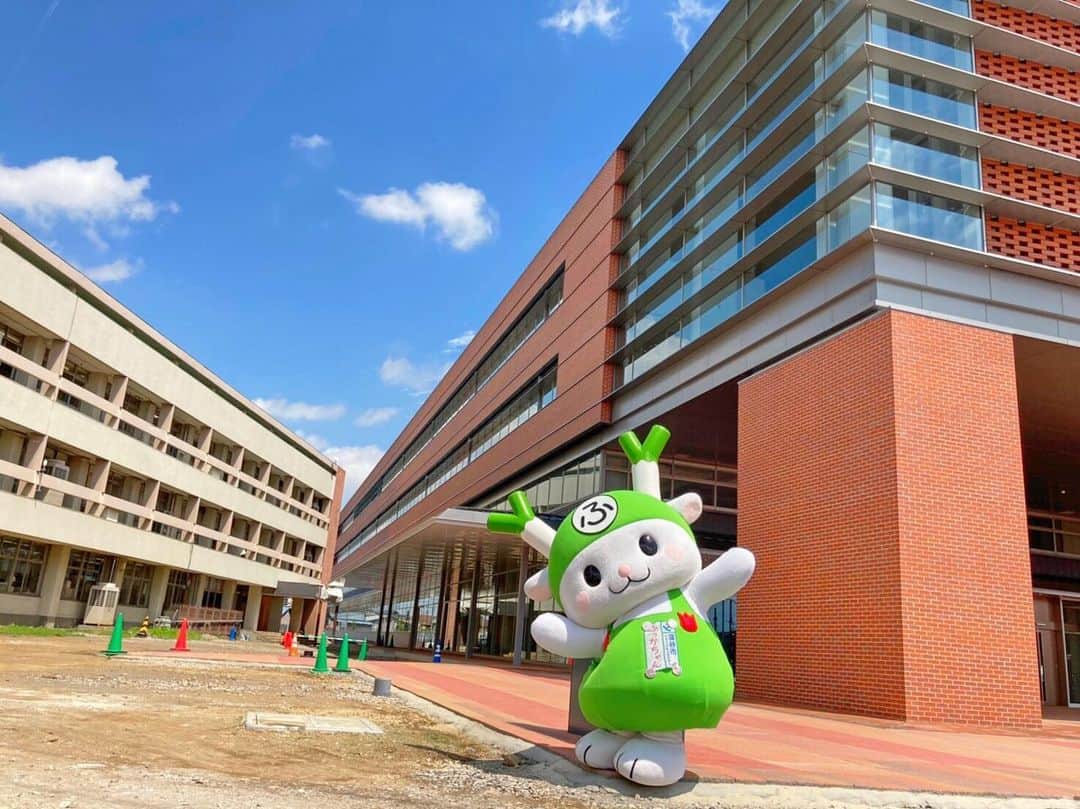 ふっかちゃんのグルメインスタ