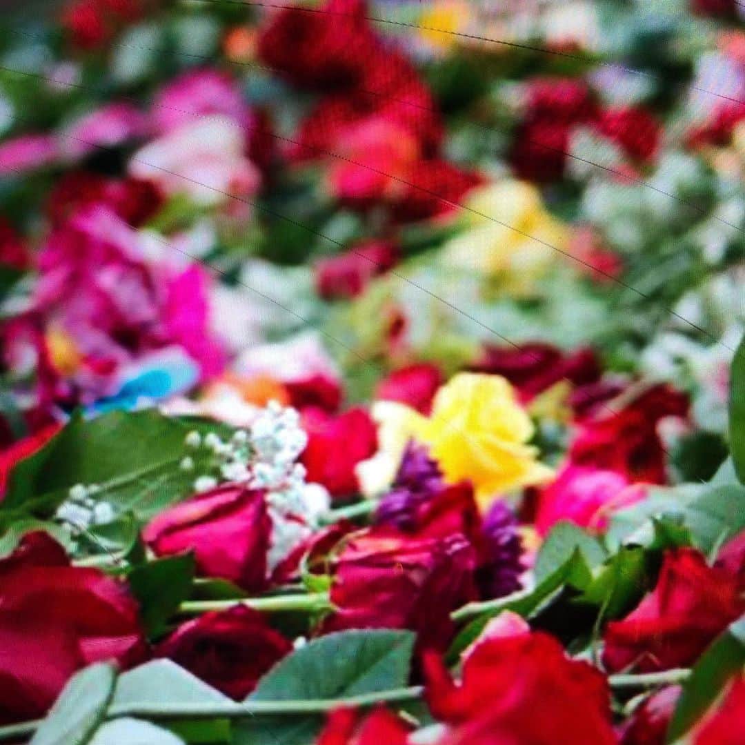 メアリー・マクドネルのインスタグラム：「#RoseFromConcrete thank you again and again the people of LA . you are showing up with the fierceness of change in your hearts.  Don’t ever stop . Bring the flowers ,bring the love ,bring the anger . With each protest,  each event, you are clearer and more committed . #BlackLivesMatter thank you @Kamy1234」