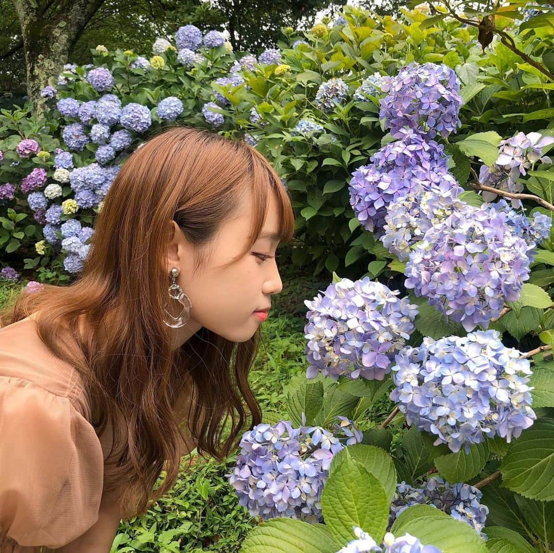 山本瑠香さんのインスタグラム写真 - (山本瑠香Instagram)「そろそろ梅雨の季節やね☔️🌿 . 写真は去年、和歌山県橋本市にある 「恋し野の里 あじさい園」に行ったときの！ . #和歌山 #恋し野の里あじさい園 #あじさい」6月6日 15時47分 - ruka_1010_team8