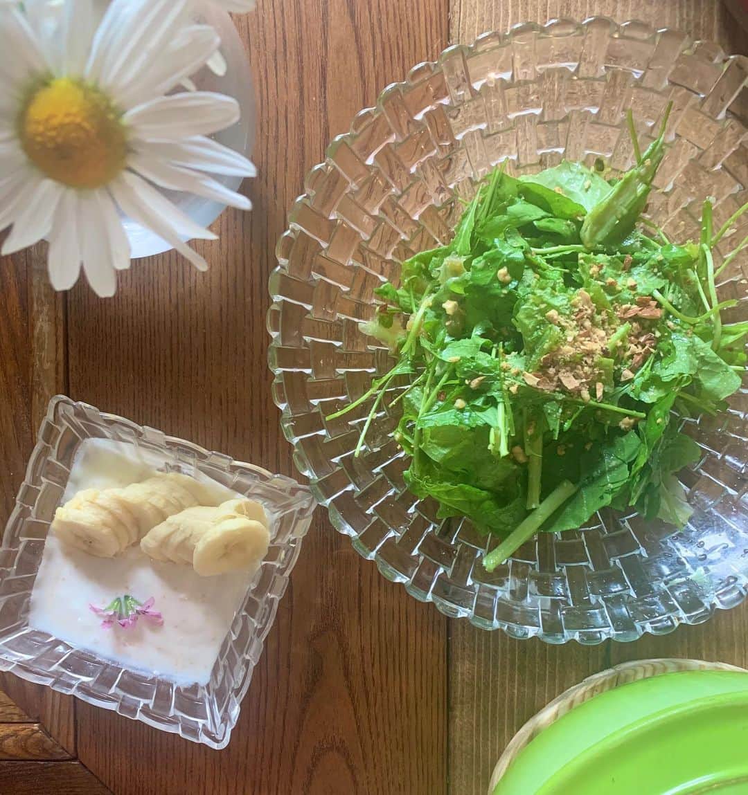 黒木桃子さんのインスタグラム写真 - (黒木桃子Instagram)「お庭に植えた野菜が続々収穫出来てきた💖 固定種の種から育てたこもいて、嬉しさひとしお🥺‼️ ・ 休日の朝ごはんは。。 サラダ、ガレット、ヨーグルト😊 ・ とれたて無農薬のサラダかぶ、ルッコラ、サンチュなどの葉物野菜とナッツのサラダ！に、自家製オニオンドレッシング🧅 ・ 腸内環境のためのヨーグルトに ゼラニウムのお花を添えて 優しく華やかな香りが美味しい✨🥺 ・ 蕎麦粉のガレットも、粉さえあればすぐお家でできるから最近の定番！🍳 ・ 贅沢な材料、高級食材的な？ものがなくても、(いくらは好きだよ🤤) ・ 育てたもの、自然の恵み、 大切に作られた食材でお料理する幸せ✨ ・ 感謝と一緒に、 心が豊かになるごはん🍚 じんわり、しみます😊💓 ・ ・ #食べる #癒しの食べ物 #豊かに暮らす #田舎暮らし最高 #田舎生活 #自然派ごはん #感謝の日々です  #土曜日の朝ごはん #自然好きな人と繋がりたい #固定種野菜 #自家栽培野菜 #野菜作り初心者」6月6日 16時08分 - momoko_nagano