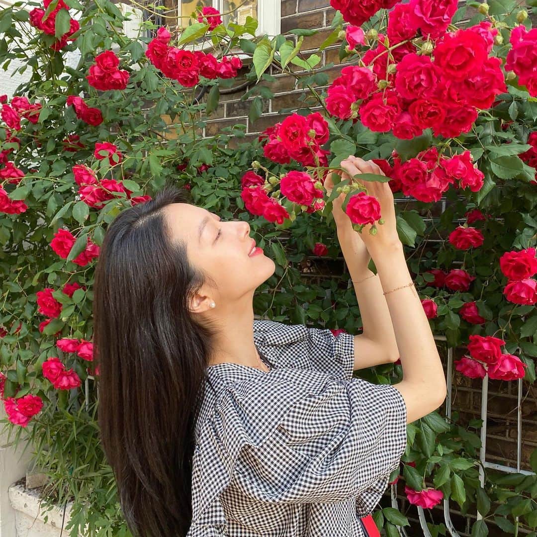 ミナ さんのインスタグラム写真 - (ミナ Instagram)「💋🌹🐝🙀」6月6日 16時19分 - blossomh_