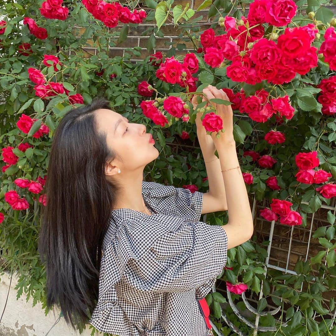 ミナ さんのインスタグラム写真 - (ミナ Instagram)「💋🌹🐝🙀」6月6日 16時19分 - blossomh_