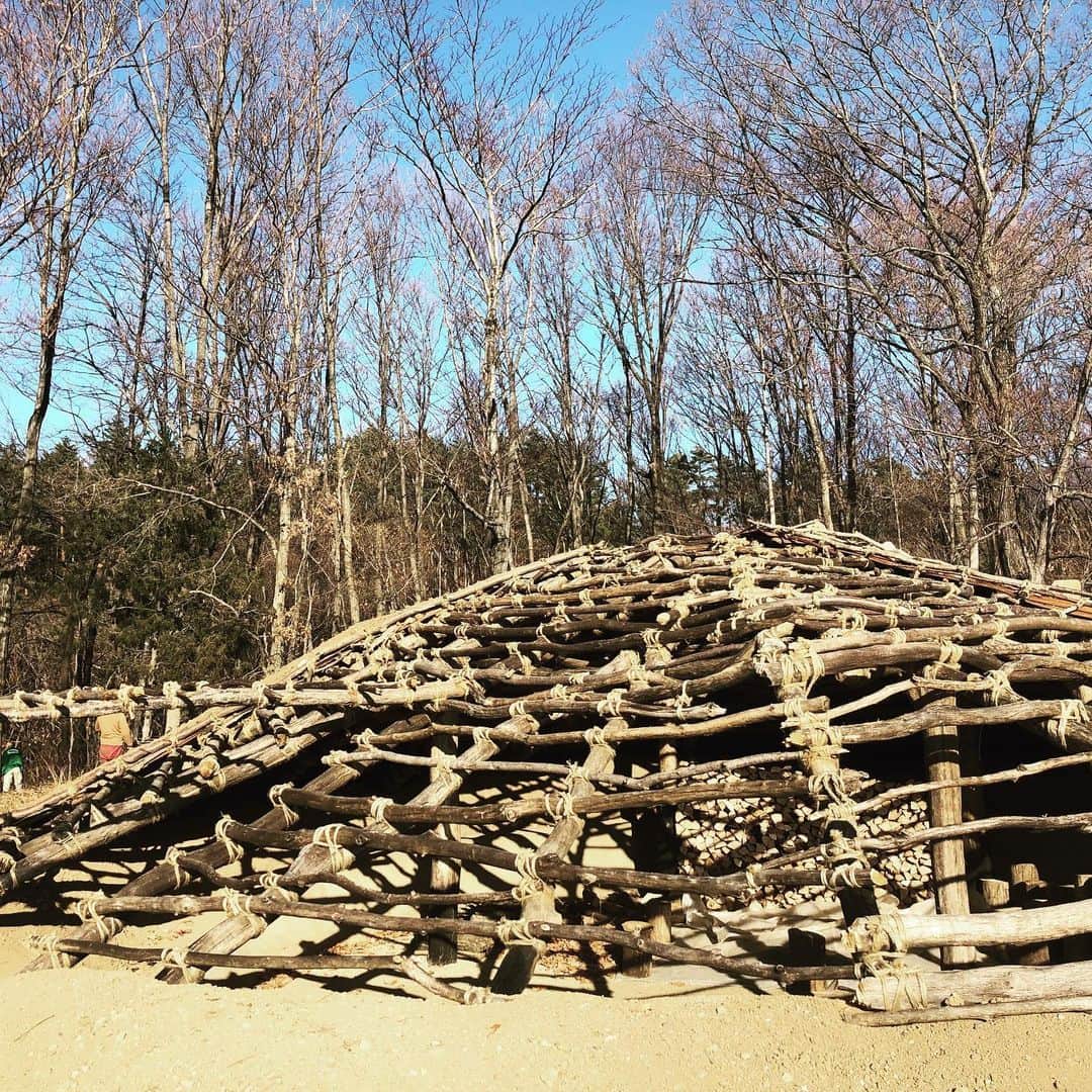 のインスタグラム：「梅ノ木遺跡の竪穴住居  #思い出トリップ  #星降る中部高地の縄文世界  #unseenjapan #yamanashi  #山梨県 #北杜 #三十三番土偶札所巡り  #japantravel  #japanarchitecture  #instatrip  #北杜市  #instatravel  #日本遺産 #japanhouse  #日本建築 #artlovers #japan_daytime_view  #tripadvisorjapan  #japanculture  #japanesegirl」