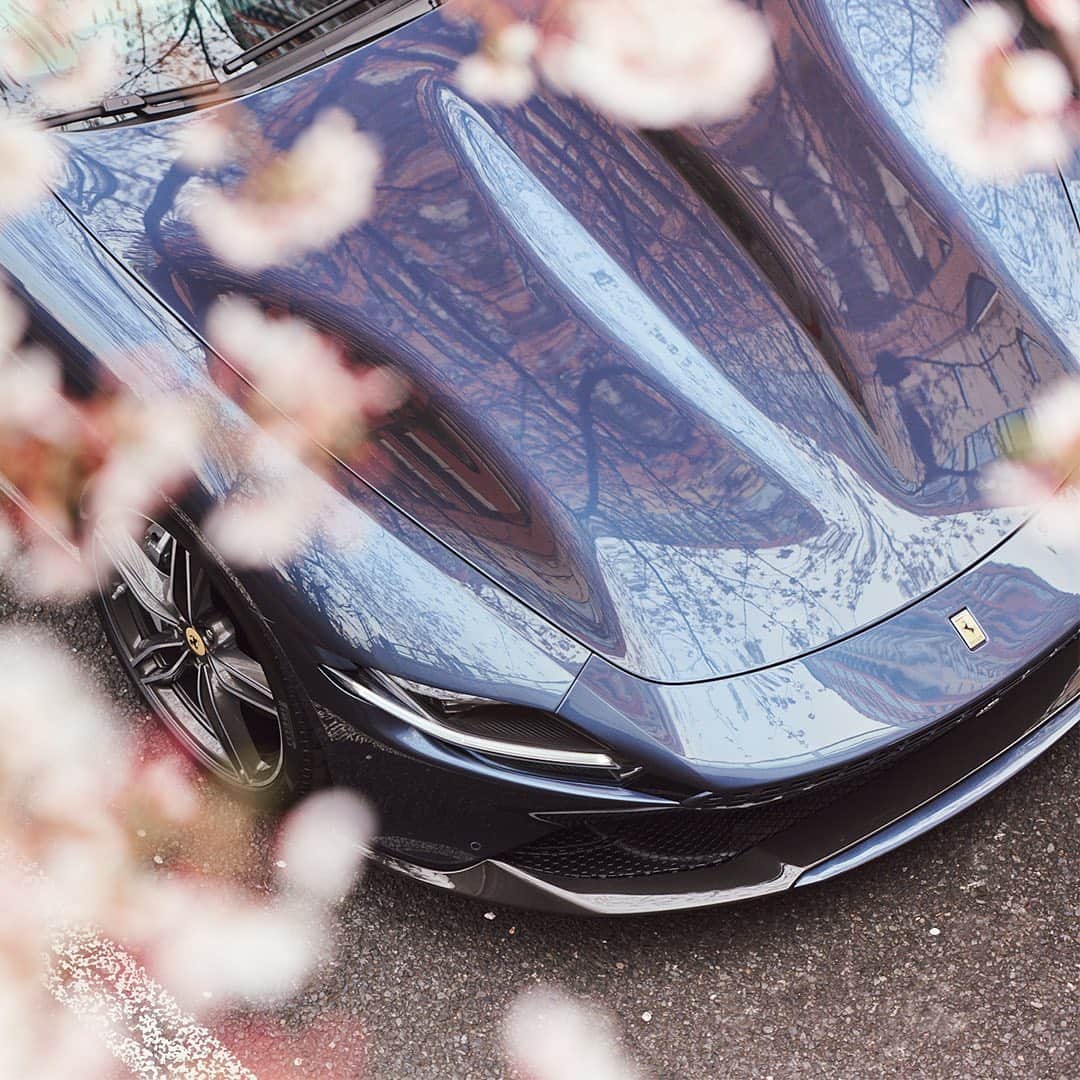 Ferrari Japanさんのインスタグラム写真 - (Ferrari JapanInstagram)「#FerrariRoma と桜の美しい融合を振り返ります。時代を超越したエレガンスをご覧ください。  #Ferrari #LaNuovaDolceVita #Japan  #フェラーリ #フェラーリローマ」6月6日 16時54分 - ferrarijpn