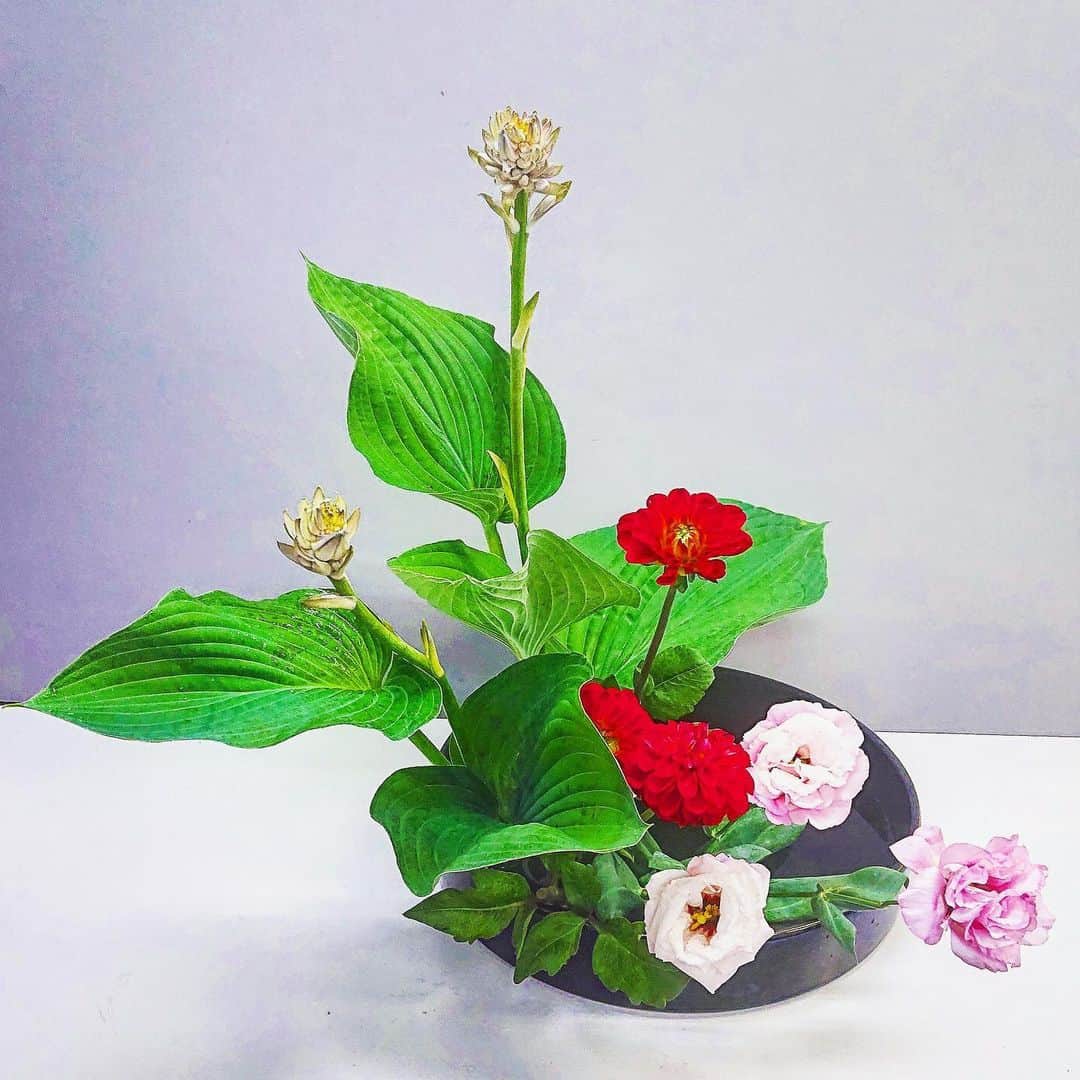 富永沙織さんのインスタグラム写真 - (富永沙織Instagram)「私が生けたお花✨今日はいけばなの日😊 June 6th is Ikebana Day😊✨ お稽古できる日が来たら、みなさんに楽しいものをもっと届けられるように、やりたいこと、たくさんです😃🍀 ・ #いけばなの日 #花のある暮らし #花好きな人と繋がりたい #いけばな #ikebana #flowerartist #華道 #いけばな師範 #6月6日はいけばなの日 #花 #instagood #swag #instalike #日本の美 #japaneseculture #june6thikebanaday #ikebanaday #flowers #flowerstagram #お花 #お花のある暮らし #お花好きな人と繋がりたい #美」6月6日 17時26分 - saori_tominaga
