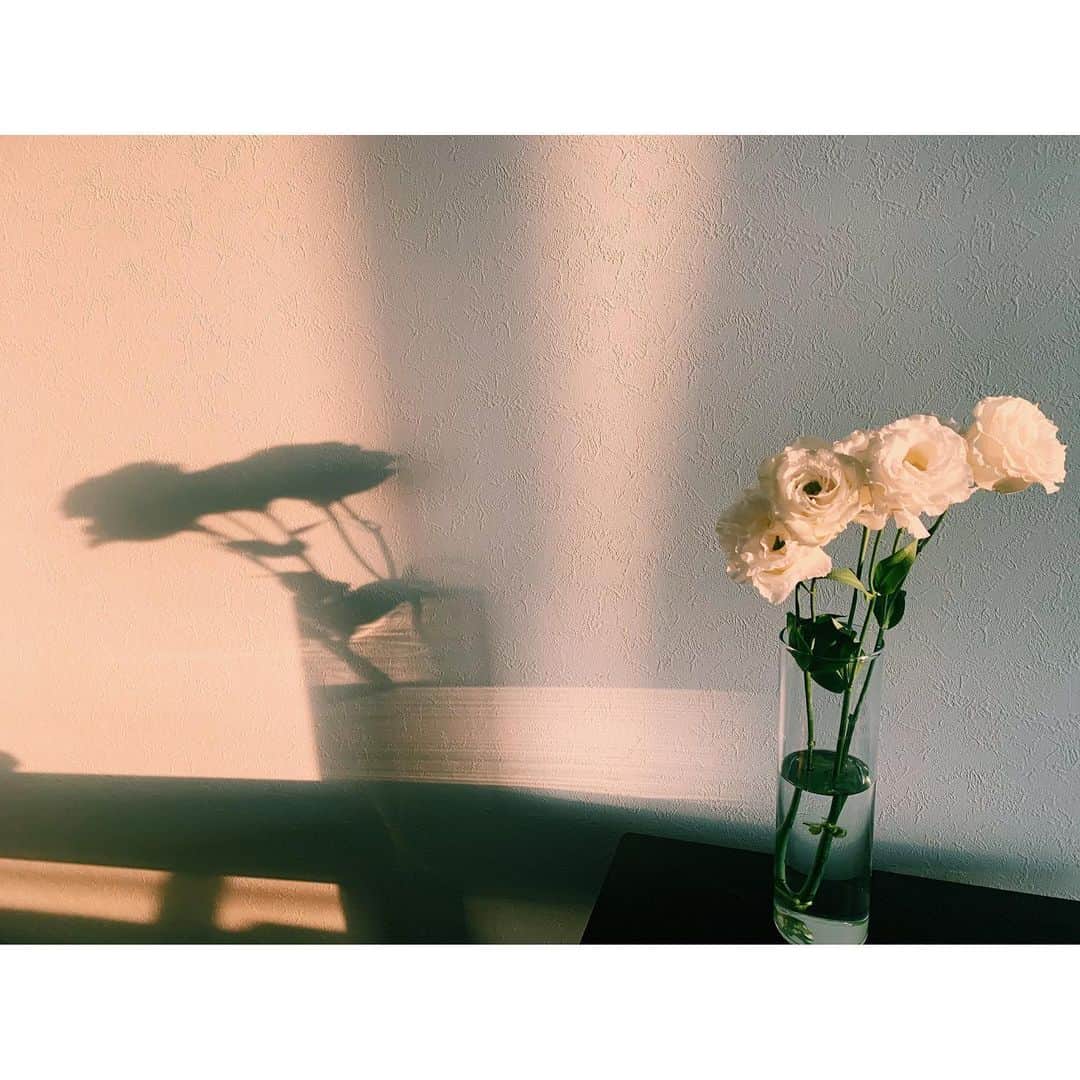 結城モエさんのインスタグラム写真 - (結城モエInstagram)「こんばんは🌻 トルコキキョウ、綺麗に咲いてます。 そして私は、コロナ対策万全でドラマの撮影を再開しています。 ギルティを始め、 皆さまに早く作品をお届けできたらいいなと思っています。  #staysafe #stayhome #おうち時間  #花のある暮らし」6月6日 18時31分 - moe_yuki_