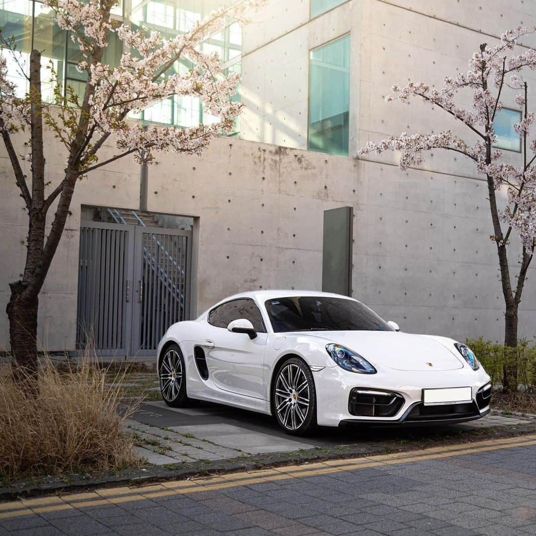 Porscheさんのインスタグラム写真 - (PorscheInstagram)「Saturdays spent with nothing but drive in front of you: the Cayman way of life. (📸 @willy.photograph) #PorscheMoment」6月6日 19時00分 - porsche