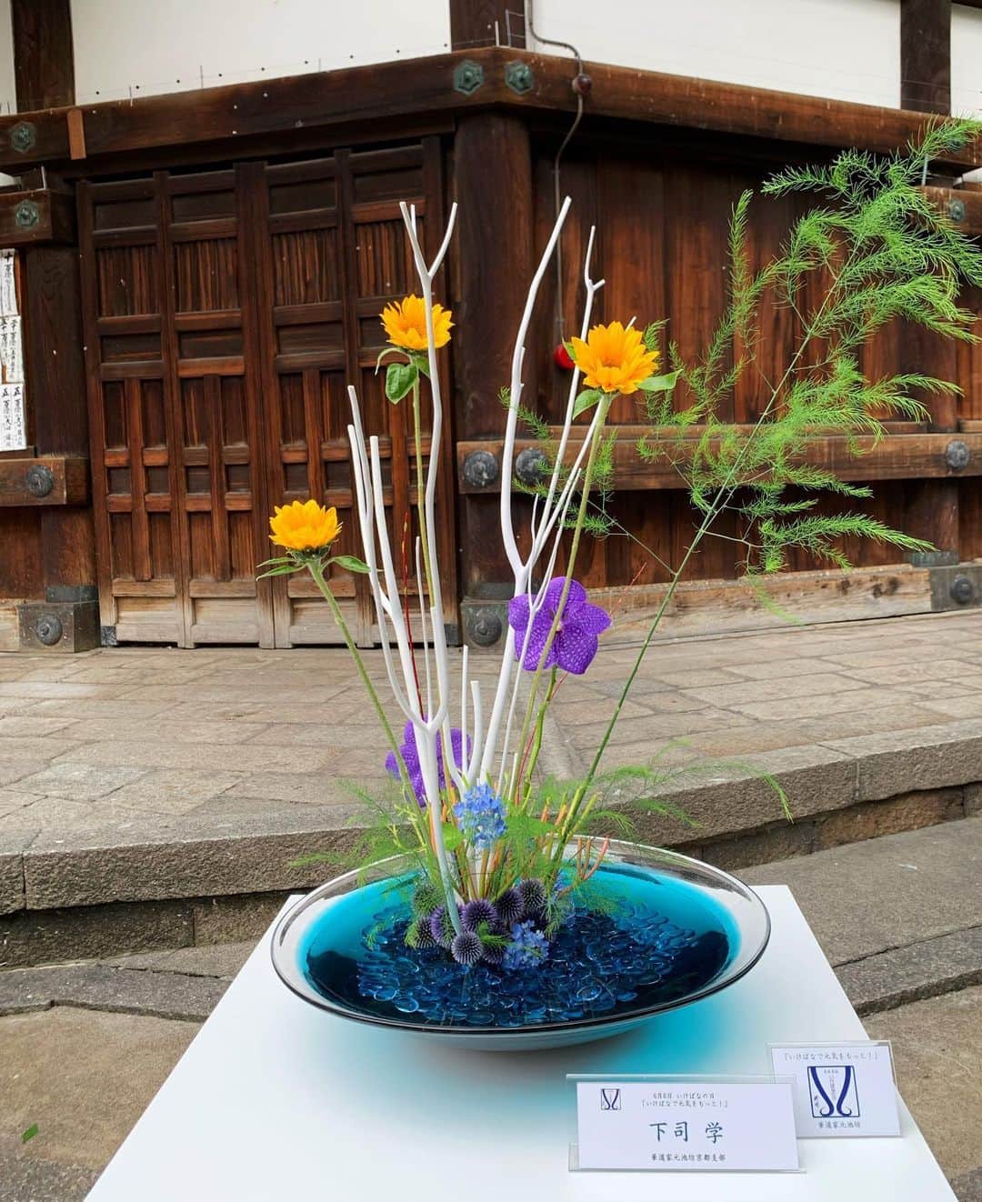 いけばな池坊さんのインスタグラム写真 - (いけばな池坊Instagram)「6月6日「いけばなの日」。 京都・六角堂で池坊京都支部の皆様によるいけばな展示をしています。 今は集まれないので、Facebookライブ配信をしました。 公式Facebookをご覧ください。  #池坊 #いけばな #生け花 #華道 #花 #フラワーアレンジ #フラワーデザイン #和室 #暮らし #アート #ikebanaflowers #Japaneseflowerarrangement #ikebanaforpraying #楽しい池坊自由花 #バラバラでいっしょ #lovelyikenobofreestyle #lovelyfreestyle #ikenobofreestyle #花で言葉を届けよう #6月6日はいけばなの日 #日本いけばな芸術協会 #スキマの花屋 #花とすごそう」6月6日 19時03分 - ikenobo550
