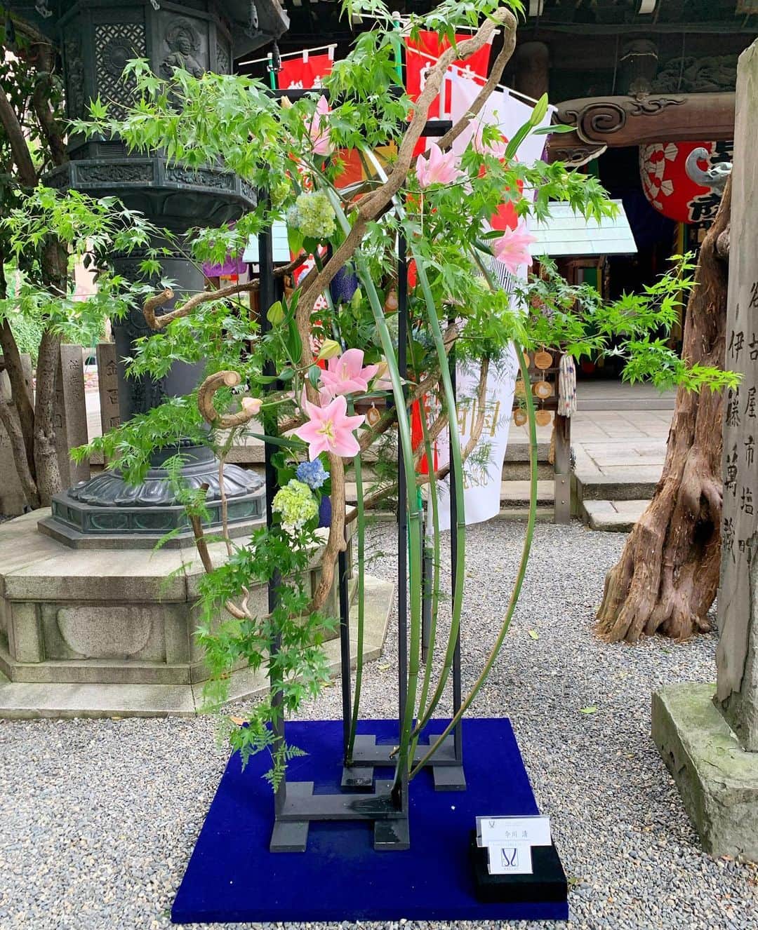 いけばな池坊さんのインスタグラム写真 - (いけばな池坊Instagram)「6月6日「いけばなの日」。 京都・六角堂で池坊京都支部の皆様によるいけばな展示をしています。 今は集まれないので、Facebookライブ配信をしました。 公式Facebookをご覧ください。  #池坊 #いけばな #生け花 #華道 #花 #フラワーアレンジ #フラワーデザイン #和室 #暮らし #アート #ikebanaflowers #Japaneseflowerarrangement #ikebanaforpraying #楽しい池坊自由花 #バラバラでいっしょ #lovelyikenobofreestyle #lovelyfreestyle #ikenobofreestyle #花で言葉を届けよう #6月6日はいけばなの日 #日本いけばな芸術協会 #スキマの花屋 #花とすごそう」6月6日 19時03分 - ikenobo550