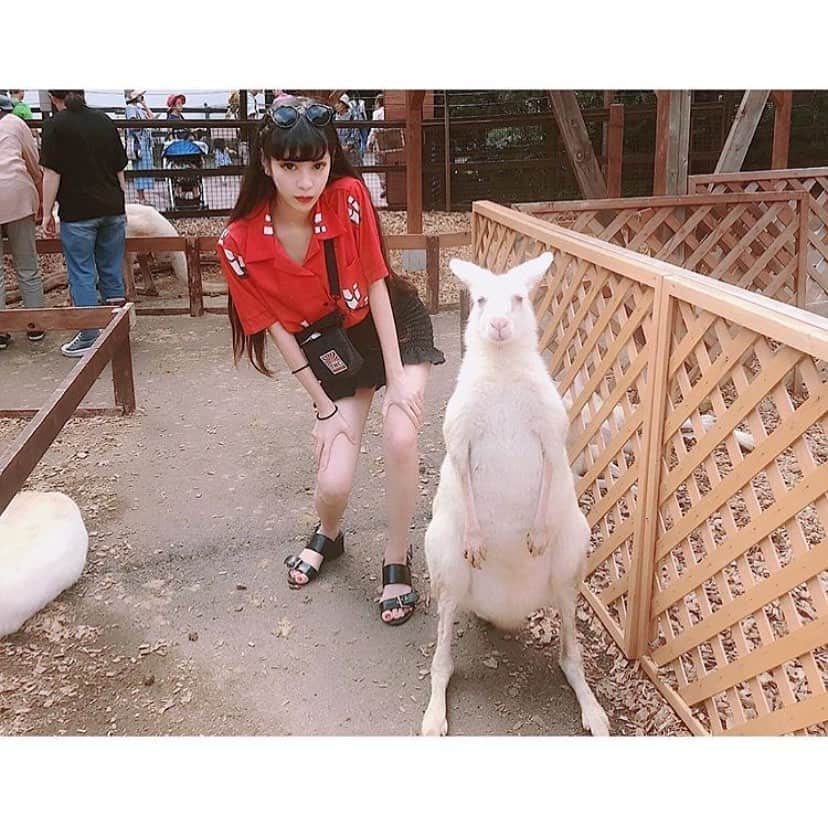 中川ジュリアのインスタグラム：「夏だー！！みたいな事はいつになったら出来るんでしょう🧐」