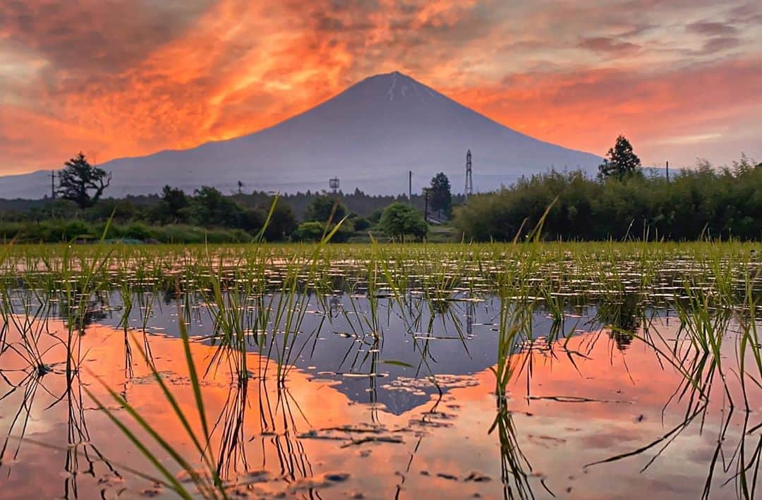 phantastic420のインスタグラム：「. 🤩🤩“Shizuoka” prefecture in Japan is a place where you can see the most “phantastic” Mt. Fuji🗻 in the world.🤩 #富士山 #mtfuji #japan #shizuoka #fujinomiya  #宮すた #miyasta @fujinomiyacity  #phantastic420photography #mostphantasticmtfuji #selamatpagi  #goodmorning  #おはようございます 😇😇😇😇😇😇😇🗻😇😇😇😇」