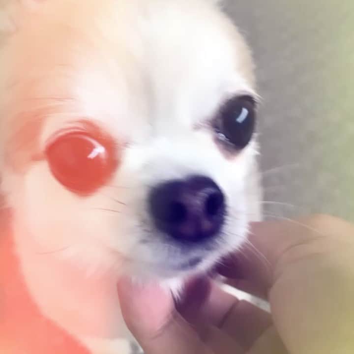 橋本塁のインスタグラム