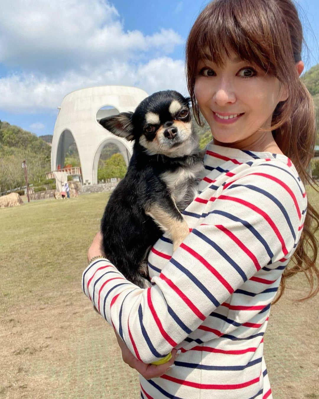 山田佳子さんのインスタグラム写真 - (山田佳子Instagram)「今日もよく走りました♪﻿ いつも元気なマイケル🐶🐕‍🦺🐾﻿ ﻿ #お散歩﻿ #大好き﻿ #元気すぎる﻿ #マイケル﻿ #愛犬﻿ #chiwawa﻿ #ブラックタン」6月6日 21時40分 - yoshiko117