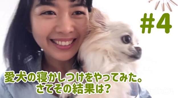 倉田亜味さんのインスタグラム写真 - (倉田亜味Instagram)「YouTube第4弾 「愛犬の寝かしつけをやってみた。さてその結果は？」 だんだん…編集にも慣れてきました…！？ 今回は前回の続きです。 なので、早くあげたくて… 頑張りました。  #YouTube #YouTubeチャンネル #倉田あみ　#倉田あみでございます  #愛犬　#ぷり」6月6日 21時35分 - kurata_amigram