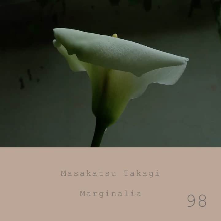 高木正勝のインスタグラム：「Waiting for rainy season.﻿ ﻿ 家の裏の池に鴨がカップルで住み着いています。そおっと見にいくと、そおっと木陰に隠れます。﻿ ﻿ Marginalia #98﻿ ﻿ Full on bandcamp﻿ ﻿ Link > bio﻿ ﻿」