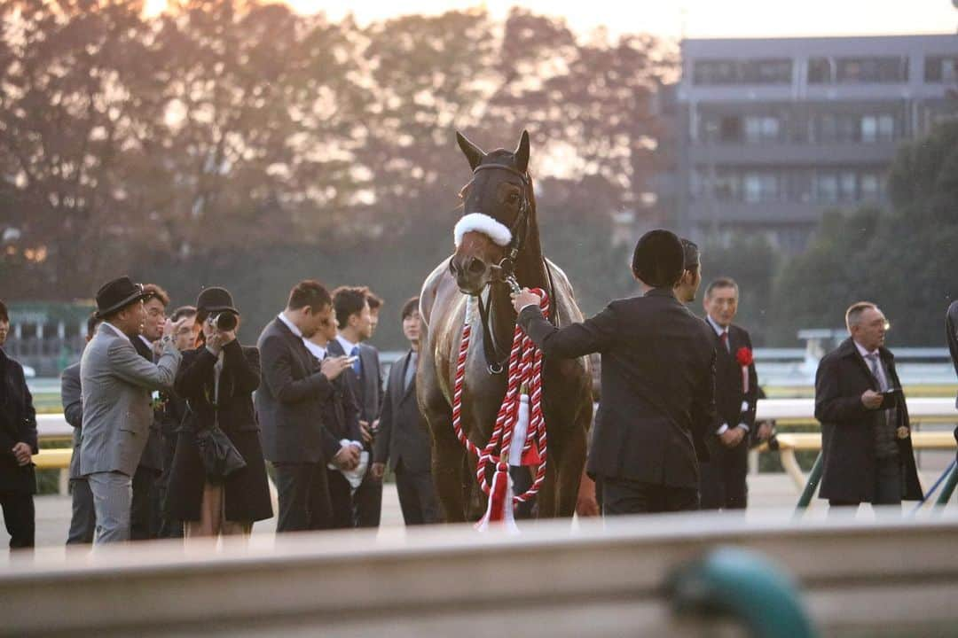 ゆきのしんさんのインスタグラム写真 - (ゆきのしんInstagram)「明日は安田記念ですね🐴 競馬場行きたいよ〜😂 #アーモンドアイ　 #カメラ女子　 #一眼レフ　 #安田記念」6月6日 22時02分 - yukino__shin