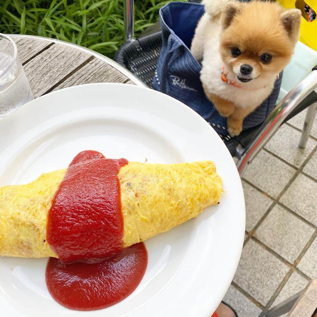 Mika Jimboのグルメインスタ