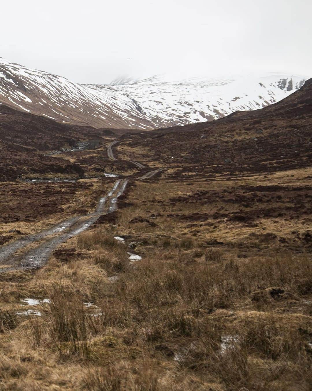 ロールス・ロイスさんのインスタグラム写真 - (ロールス・ロイスInstagram)「#TheFinalChallenge found #RollsRoyceCullinan in Scotland, where its performance ability was tested against precarious mountain ranges and serpentine rivers. ⁣  The goal of photographer and explorer Cory Richards? Attempt to break an unbreakable car. ⁣ Regardless of the obstacles it was presented with, Cullinan forged onward — all without a single moment’s hesitation. ⁣ —⁣ Watch every episode of our #InspiringGreatness series; link in bio.⁣  —   NEDCcorr (combined): CO2 emission: 330-328 g/km; Fuel consumption: 19.5 mpg / 14.5 l/100km *   WLTP (combined): CO2 emission: 361-344 g/km; Fuel consumption: 17.8-18.6 mpg / 15.9-15.2 l/100km #」6月6日 22時43分 - rollsroycecars