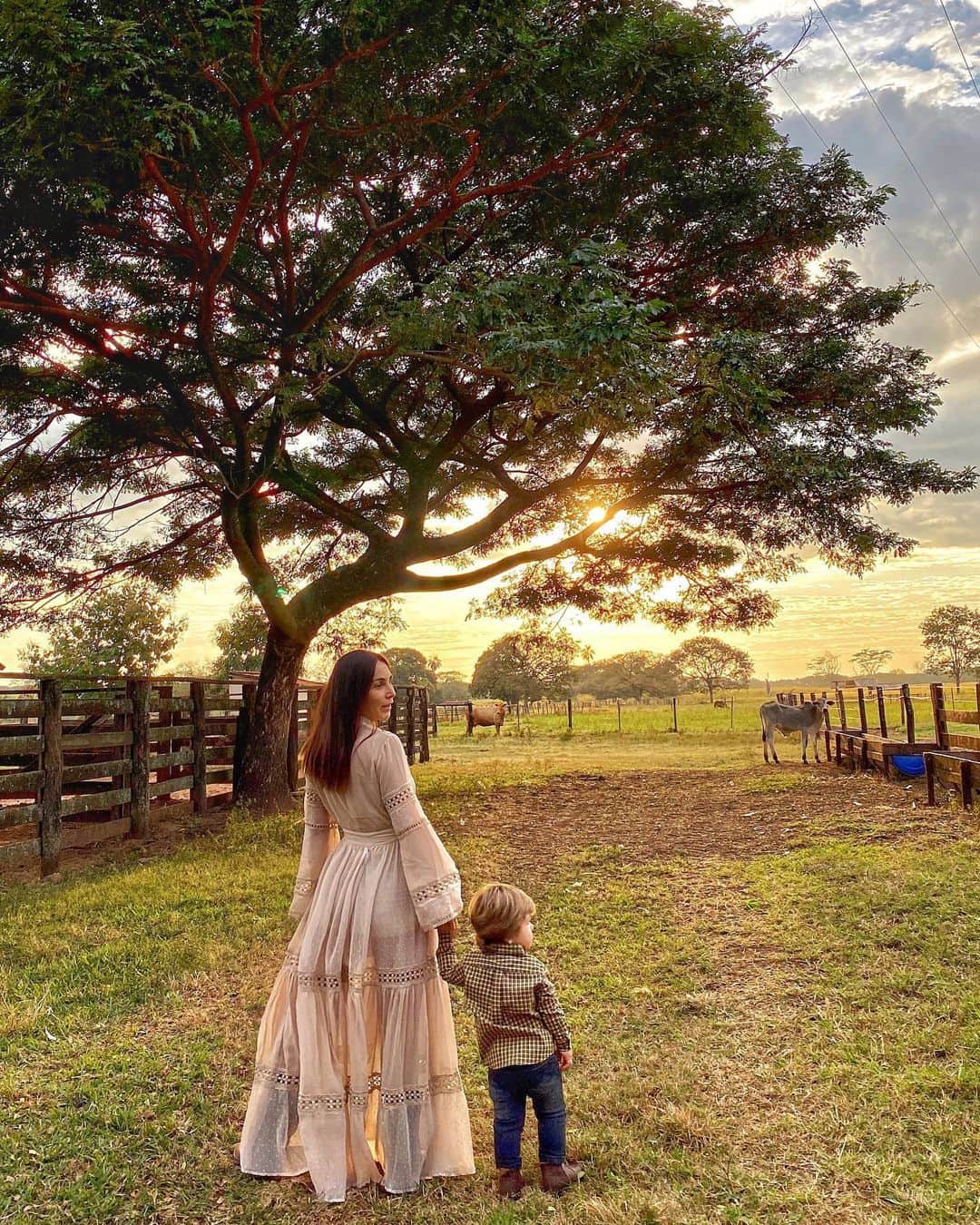 Lalá Noletoさんのインスタグラム写真 - (Lalá NoletoInstagram)「O sol saiu e já estamos no curral ❤️🐎 #Lalanafazenda #pedroNS  The sun came out and we are already in here ❤️🐎 #Lalanafazenda #pedroNS  Le soleil est sorti et nous sommes déjà là ❤️🐎 #Lalanafazenda #pedroNS」6月6日 22時43分 - lalanoleto