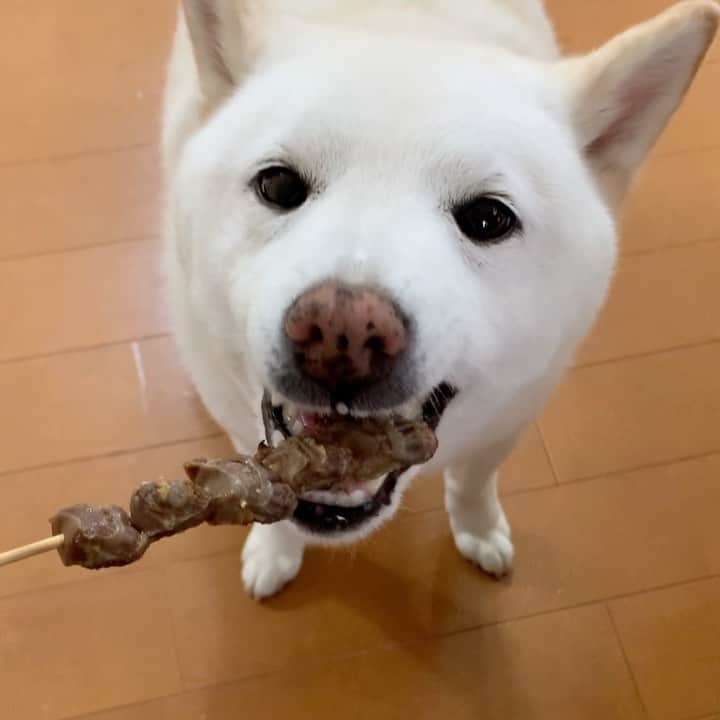 さなのインスタグラム：「たんぱく質げと。  #今日の晩飯は焼き鳥 #テイクアウトだやっほい #さな氏のもあるよ　#味付けなし砂肝 #串に刺さってるのはちょっと #お上品か」